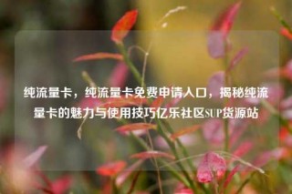 纯流量卡，纯流量卡免费申请入口，揭秘纯流量卡的魅力与使用技巧亿乐社区SUP货源站