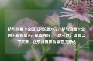 移动流量卡全国无限流量19元，移动流量卡全国无限流量19元是真的吗，当然可以，请看以下文章，亿乐社区低价自营货源站