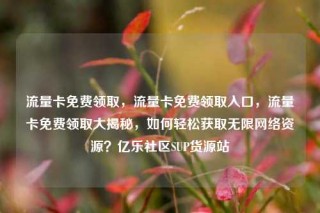 流量卡免费领取，流量卡免费领取入口，流量卡免费领取大揭秘，如何轻松获取无限网络资源？亿乐社区SUP货源站