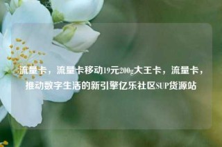 流量卡，流量卡移动19元200g大王卡，流量卡，推动数字生活的新引擎亿乐社区SUP货源站