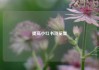 提高小红书浏览量