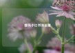 提高小红书浏览量