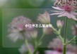 小红书怎么能涨粉