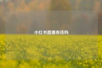小红书直播有钱吗