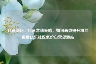 抖音涨粉，抖音营销策略，如何高效提升粉丝数量亿乐社区低价自营货源站