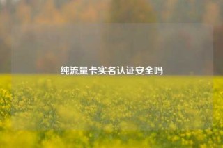 纯流量卡实名认证安全吗
