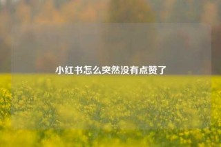 小红书怎么突然没有点赞了