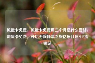 流量卡免费，流量卡免费用三个月是什么套路，流量卡免费，开启无限畅享之旅亿乐社区SUP货源站