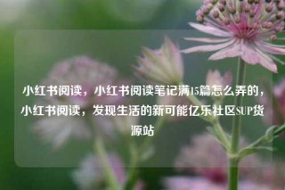 小红书阅读，小红书阅读笔记满15篇怎么弄的，小红书阅读，发现生活的新可能亿乐社区SUP货源站