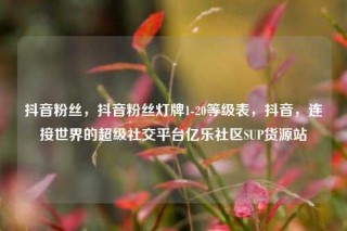 抖音粉丝，抖音粉丝灯牌1-20等级表，抖音，连接世界的超级社交平台亿乐社区SUP货源站