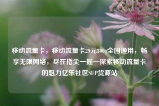 移动流量卡，移动流量卡29元300g全国通用，畅享无限网络，尽在指尖一握—探索移动流量卡的魅力亿乐社区SUP货源站