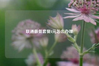 联通最低套餐8元怎么办理