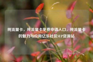 纯流量卡，纯流量卡免费申请入口，纯流量卡的魅力与应用亿乐社区SUP货源站
