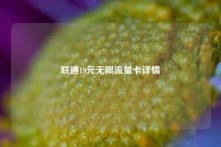 联通19元无限流量卡详情