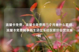 流量卡免费，流量卡免费用三个月是什么套路，流量卡免费畅享新生活亿乐社区低价自营货源站