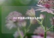 小红书直播点赞数怎么看的