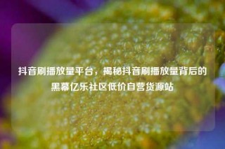 抖音刷播放量平台，揭秘抖音刷播放量背后的黑幕亿乐社区低价自营货源站