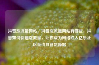 抖音涨流量网站，抖音涨流量网站有哪些，抖音如何快速涨流量，让你成为网络红人亿乐社区低价自营货源站