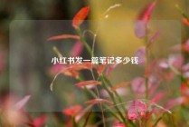 小红书发一篇笔记多少钱