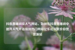 抖音直播间挂人气网站，如何在抖音直播间中提升人气并链接到热门网站亿乐社区低价自营货源站