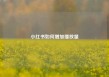 小红书如何增加播放量