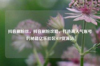 抖音刷粉丝，抖音刷粉攻略，打造高人气账号的秘籍亿乐社区SUP货源站