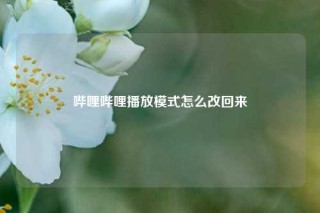 哔哩哔哩播放模式怎么改回来