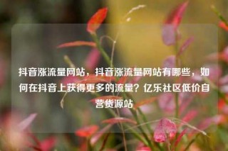 抖音涨流量网站，抖音涨流量网站有哪些，如何在抖音上获得更多的流量？亿乐社区低价自营货源站