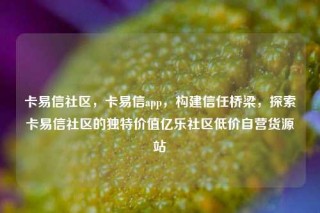卡易信社区，卡易信app，构建信任桥梁，探索卡易信社区的独特价值亿乐社区低价自营货源站
