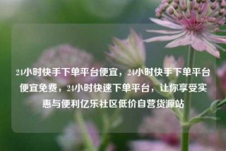 24小时快手下单平台便宜，24小时快手下单平台便宜免费，24小时快速下单平台，让你享受实惠与便利亿乐社区低价自营货源站