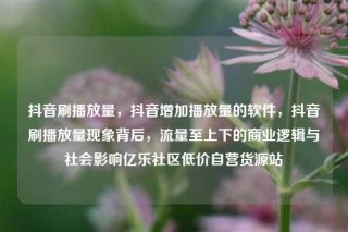 抖音刷播放量，抖音增加播放量的软件，抖音刷播放量现象背后，流量至上下的商业逻辑与社会影响亿乐社区低价自营货源站