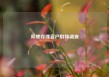 哔哩哔哩客户群体调查