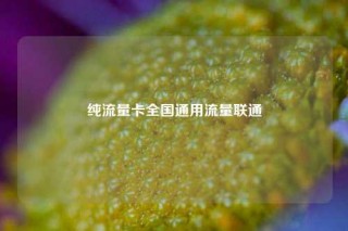 纯流量卡全国通用流量联通