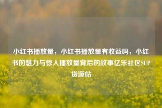 小红书播放量，小红书播放量有收益吗，小红书的魅力与惊人播放量背后的故事亿乐社区SUP货源站