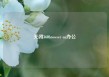 关闭360browser oa办公