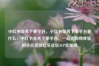小红书业务下单平台，小红书业务下单平台是什么，小红书业务下单平台，一站式购物体验的小众选择亿乐社区SUP货源站