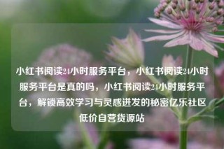 小红书阅读24小时服务平台，小红书阅读24小时服务平台是真的吗，小红书阅读24小时服务平台，解锁高效学习与灵感迸发的秘密亿乐社区低价自营货源站