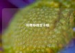 哔哩哔哩变卡顿