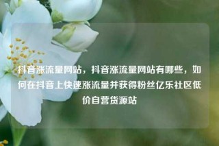抖音涨流量网站，抖音涨流量网站有哪些，如何在抖音上快速涨流量并获得粉丝亿乐社区低价自营货源站