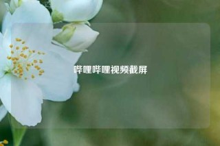 哔哩哔哩视频截屏