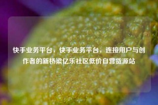 快手业务平台，快手业务平台，连接用户与创作者的新桥梁亿乐社区低价自营货源站