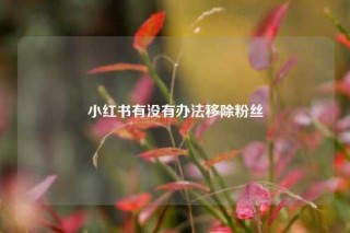 小红书有没有办法移除粉丝