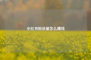 小红书粉丝量怎么赚钱