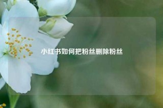 小红书如何把粉丝删除粉丝