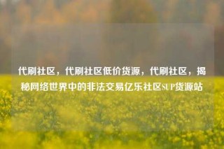 代刷社区，代刷社区低价货源，代刷社区，揭秘网络世界中的非法交易亿乐社区SUP货源站