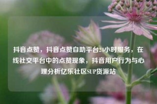 抖音点赞，抖音点赞自助平台24小时服务，在线社交平台中的点赞现象，抖音用户行为与心理分析亿乐社区SUP货源站