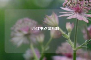小红书点赞机制