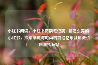 小红书阅读，小红书阅读笔记满15篇怎么弄的，小红书，探索潮流与时尚的前沿亿乐社区低价自营货源站