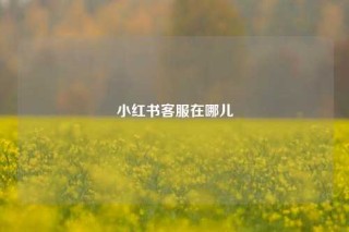 小红书客服在哪儿