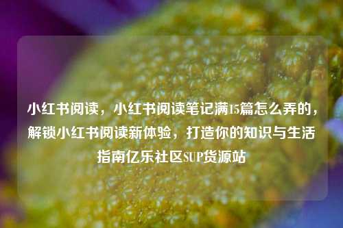 小红书阅读，小红书阅读笔记满15篇怎么弄的，解锁小红书阅读新体验，打造你的知识与生活指南亿乐社区SUP货源站  第1张